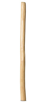 Medium Size Natural Finish Didgeridoo (TW1275)